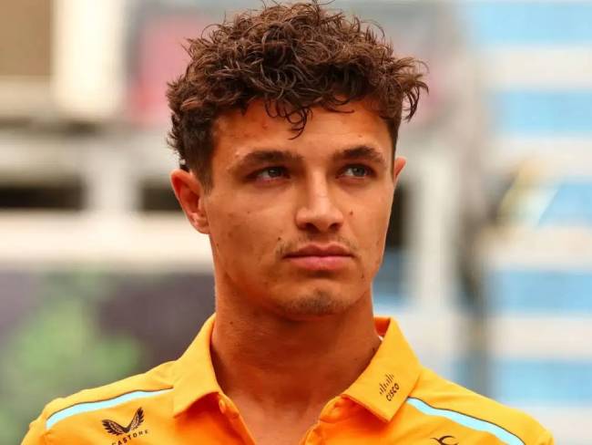 Foto de Perfil del Piloto Lnado Norris